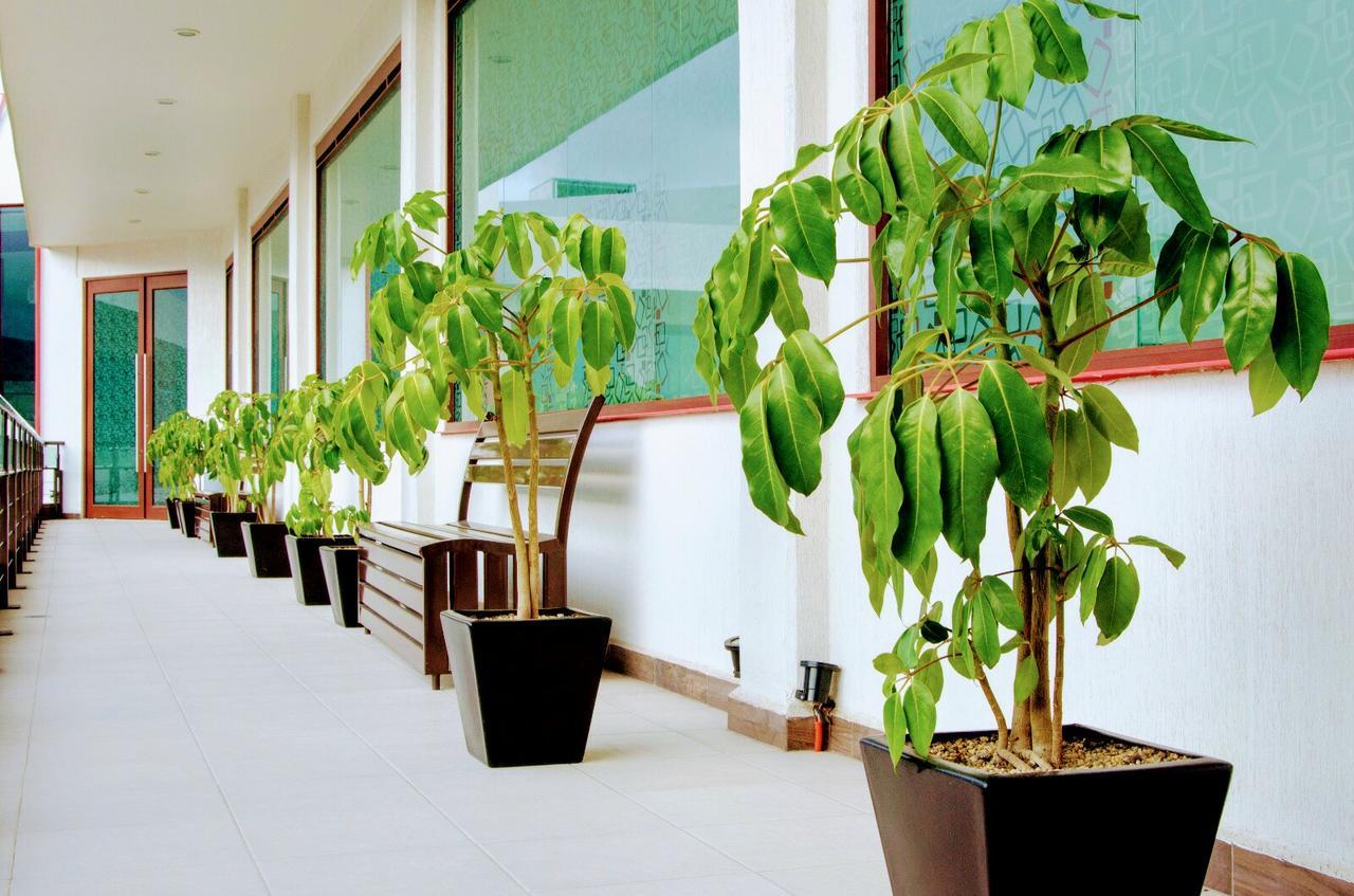 Hotel Boutique Luxury Pachuca Eksteriør billede